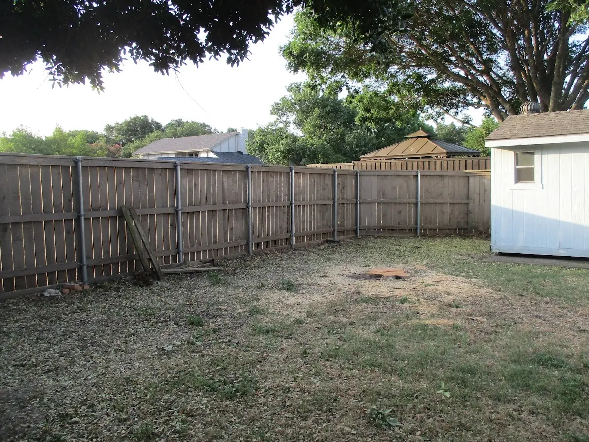 Cleared yard after professional tree removal in Scalf